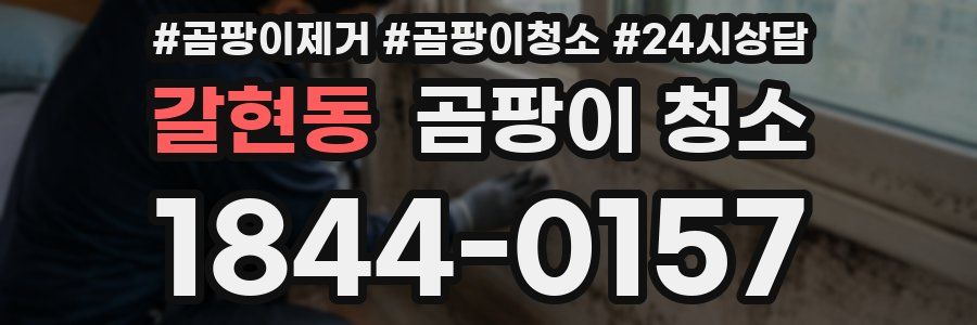 갈현동 곰팡이 청소