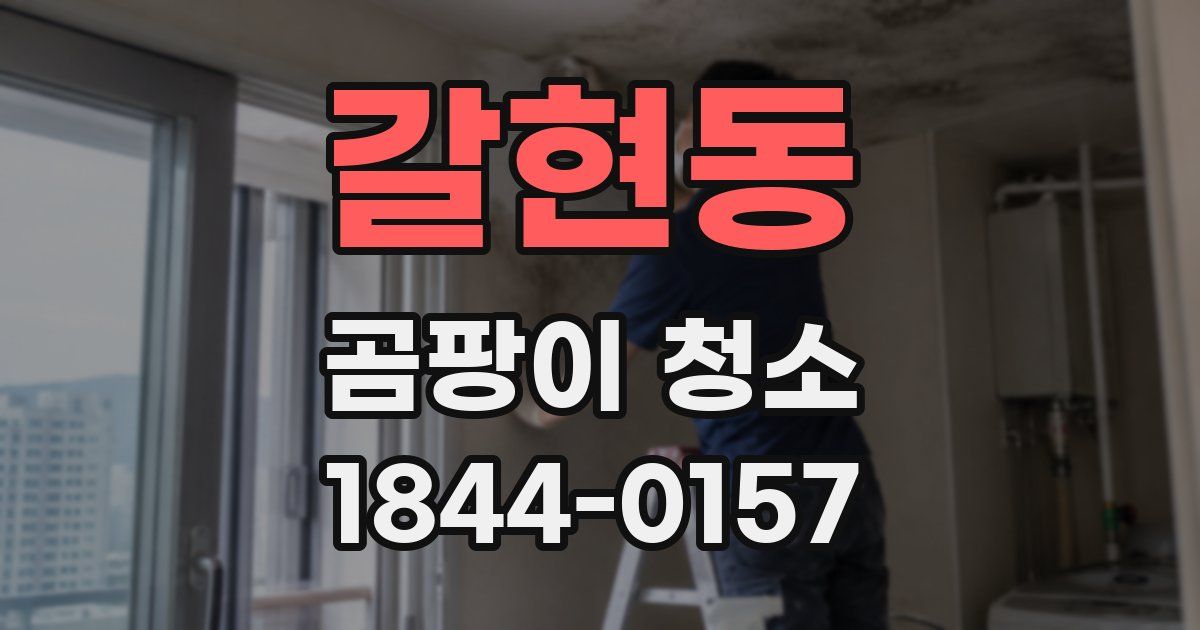 갈현동 곰팡이 청소