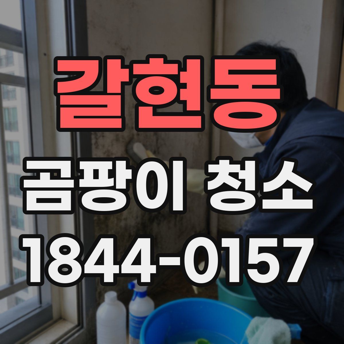 갈현동 곰팡이 청소