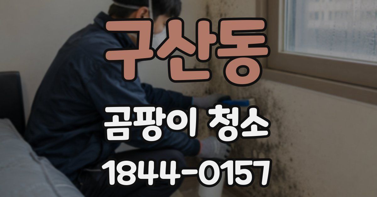 구산동 곰팡이 청소