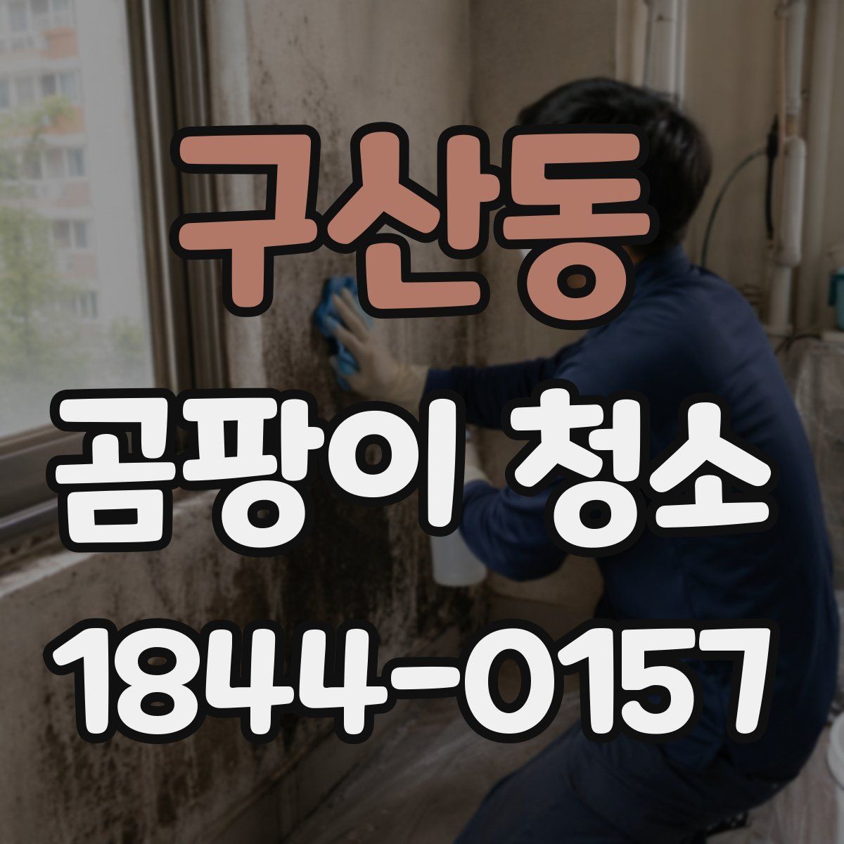 구산동 곰팡이 청소