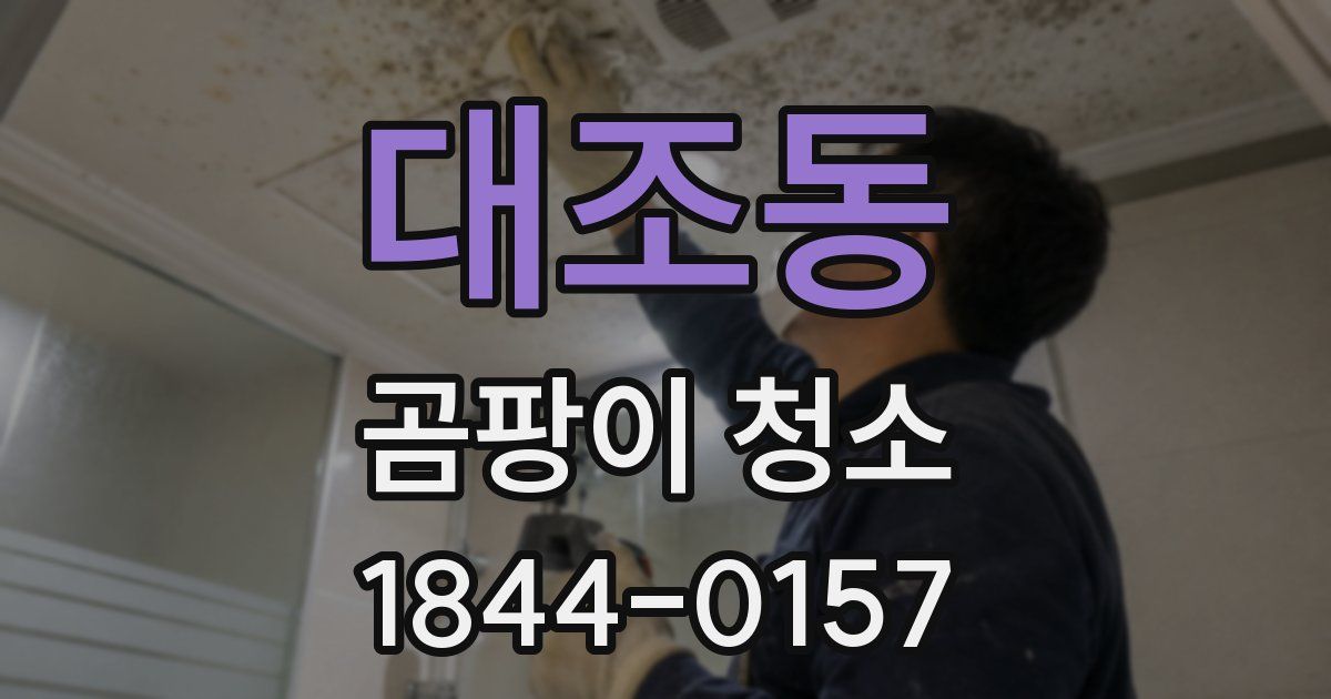 대조동 곰팡이 청소