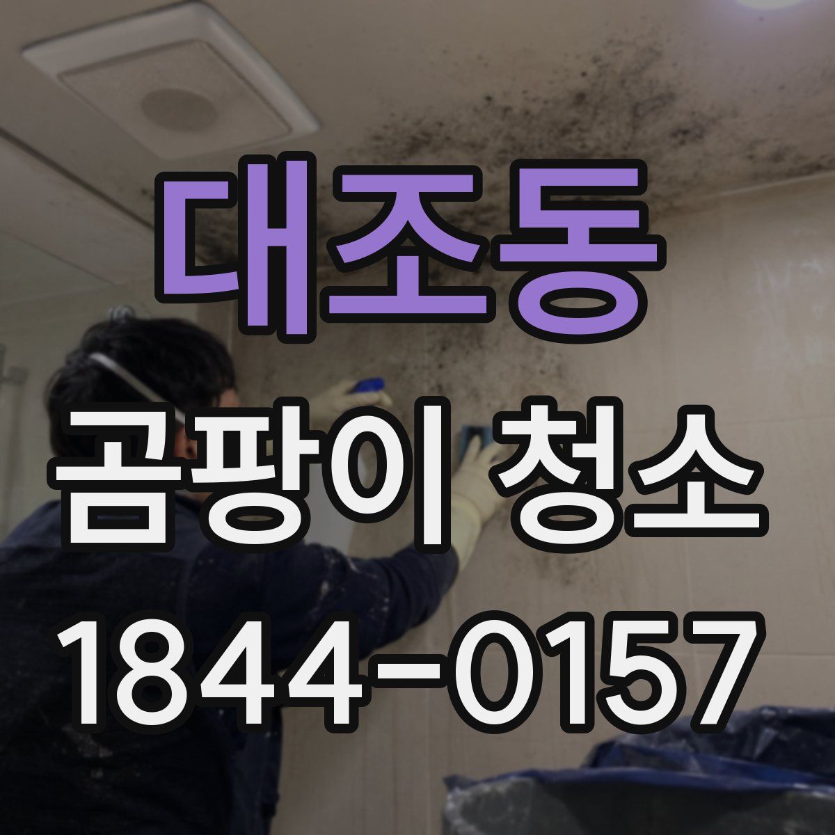 대조동 곰팡이 청소