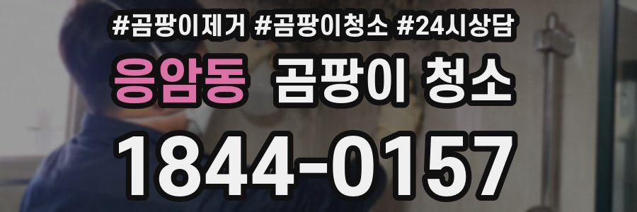 응암동 곰팡이 청소