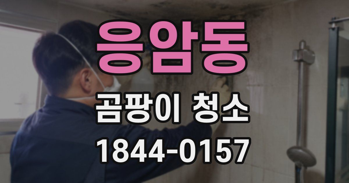 응암동 곰팡이 청소