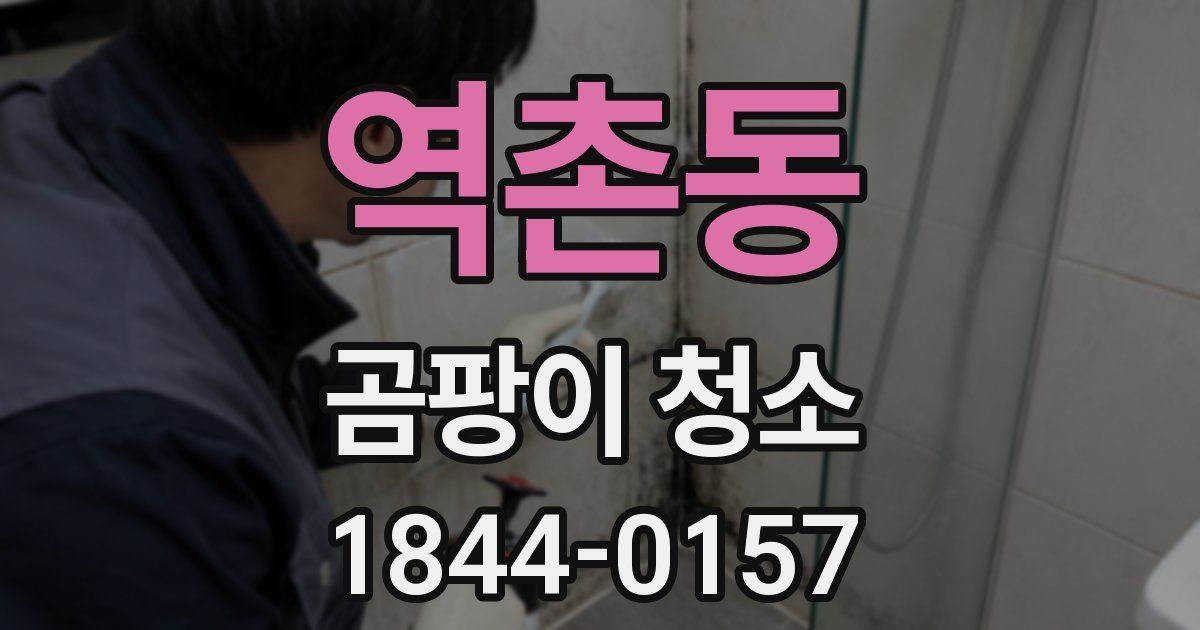 역촌동 곰팡이 청소