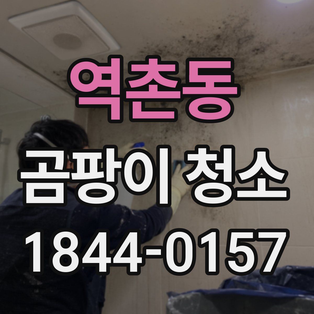 역촌동 곰팡이 청소