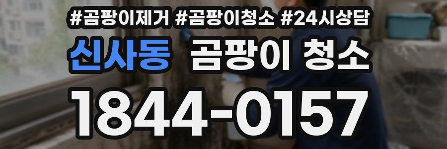 신사동 곰팡이 청소