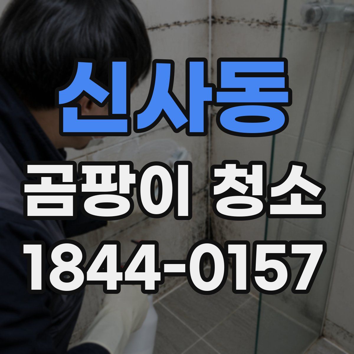 신사동 곰팡이 청소