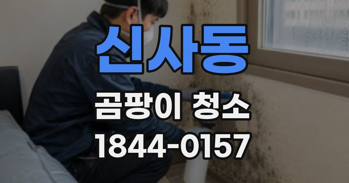 신사동 곰팡이 청소