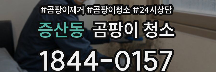 증산동 곰팡이 청소