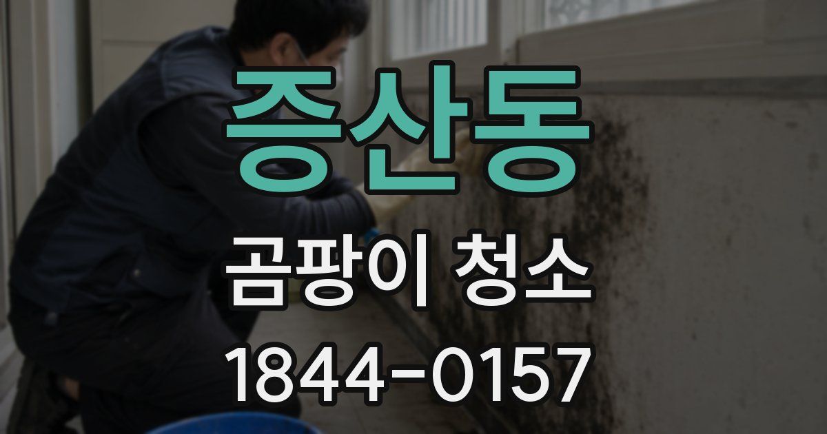 증산동 곰팡이 청소