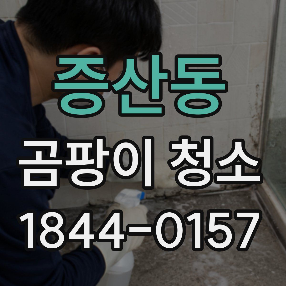 증산동 곰팡이 청소