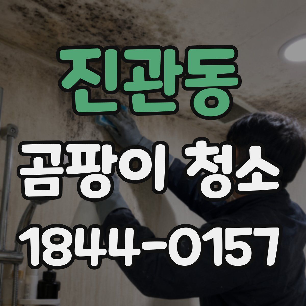 진관동 곰팡이 청소