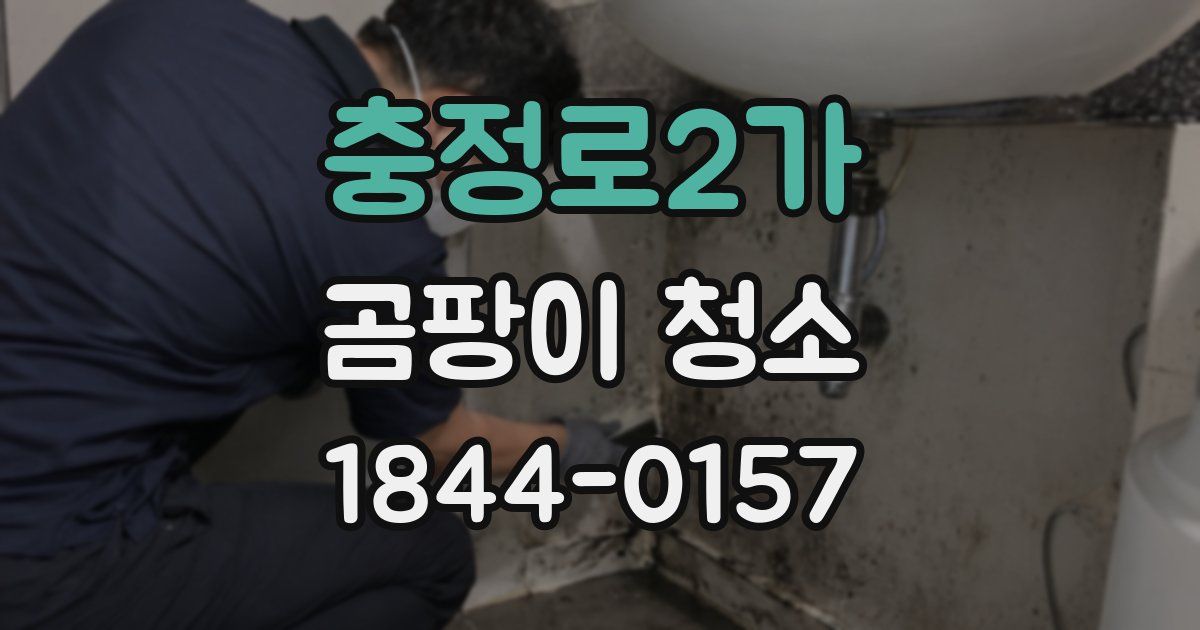 충정로2가 곰팡이 청소