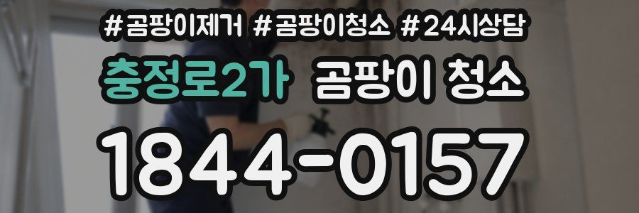 충정로2가 곰팡이 청소