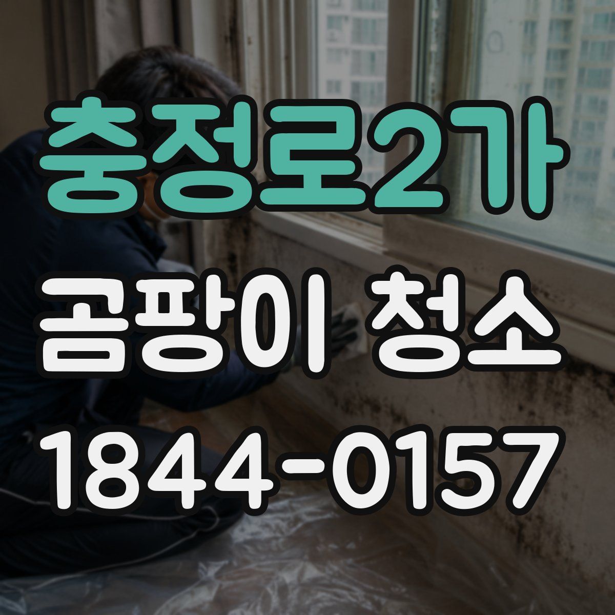 충정로2가 곰팡이 청소