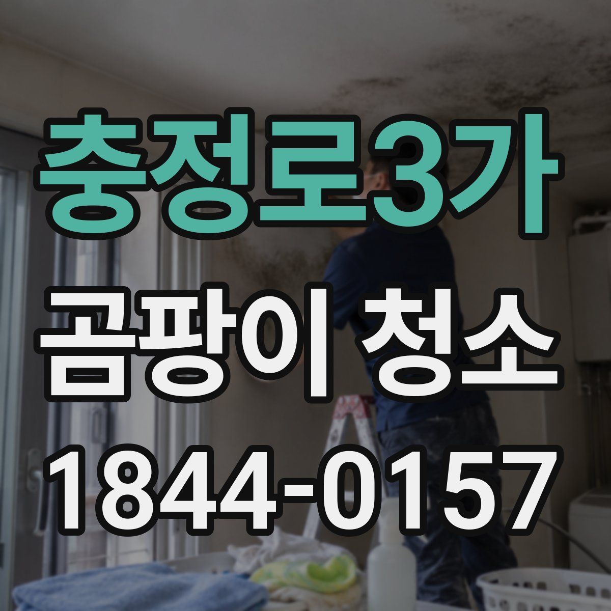 충정로3가 곰팡이 청소