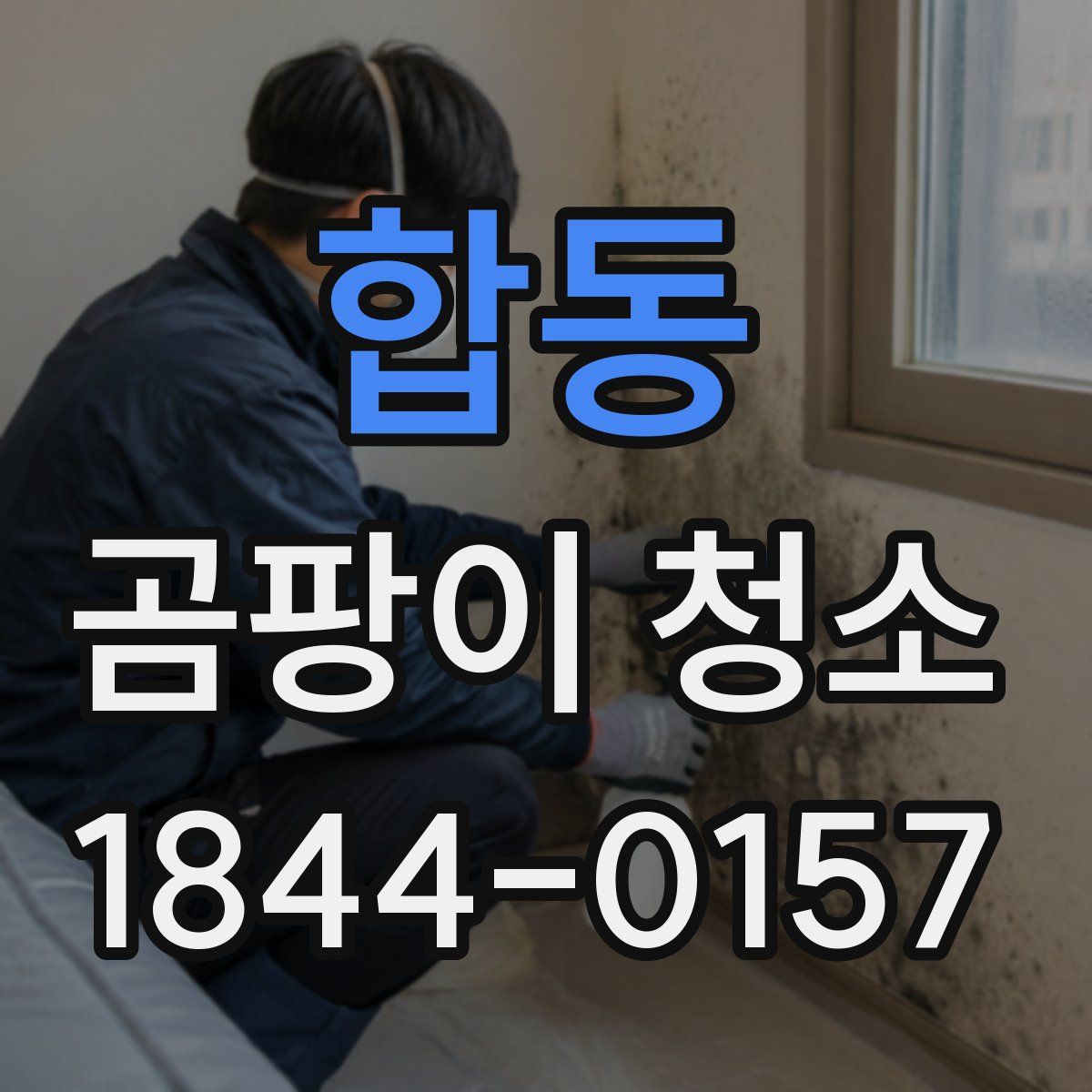 합동 곰팡이 청소