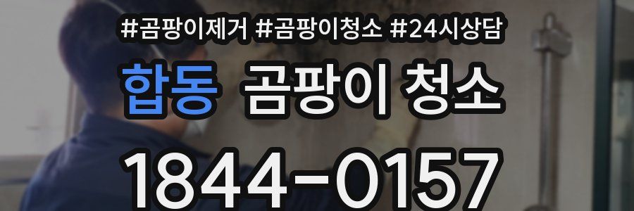 합동 곰팡이 청소