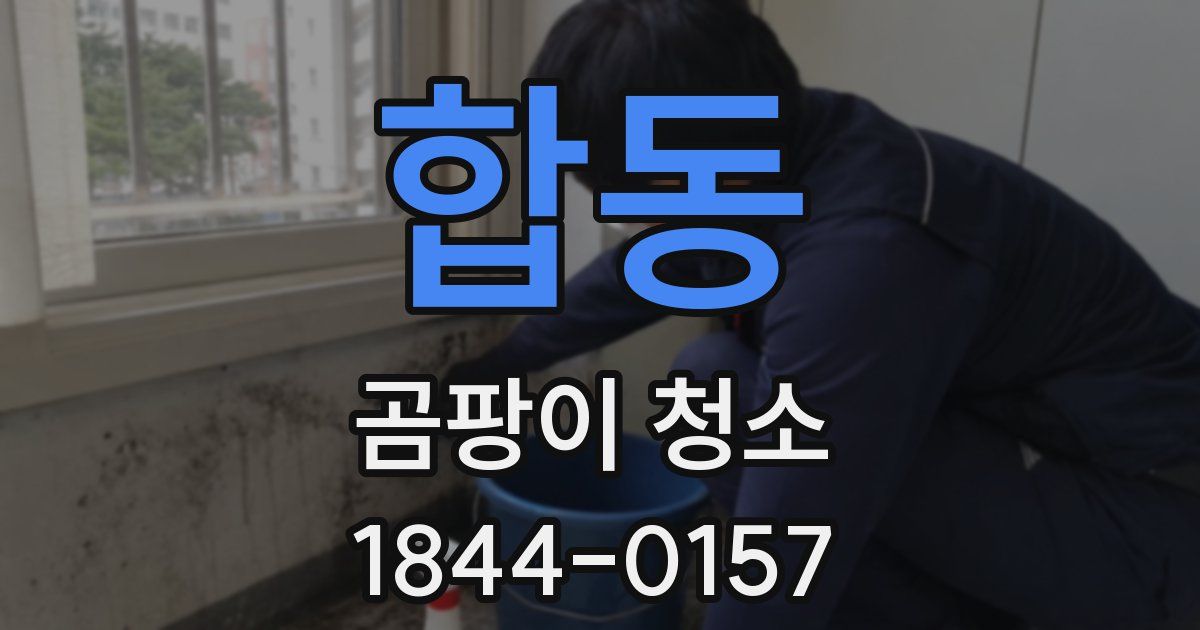 합동 곰팡이 청소