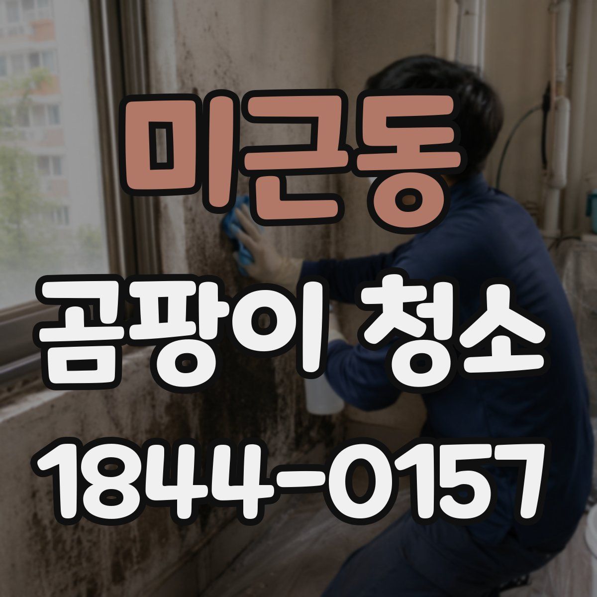 미근동 곰팡이 청소
