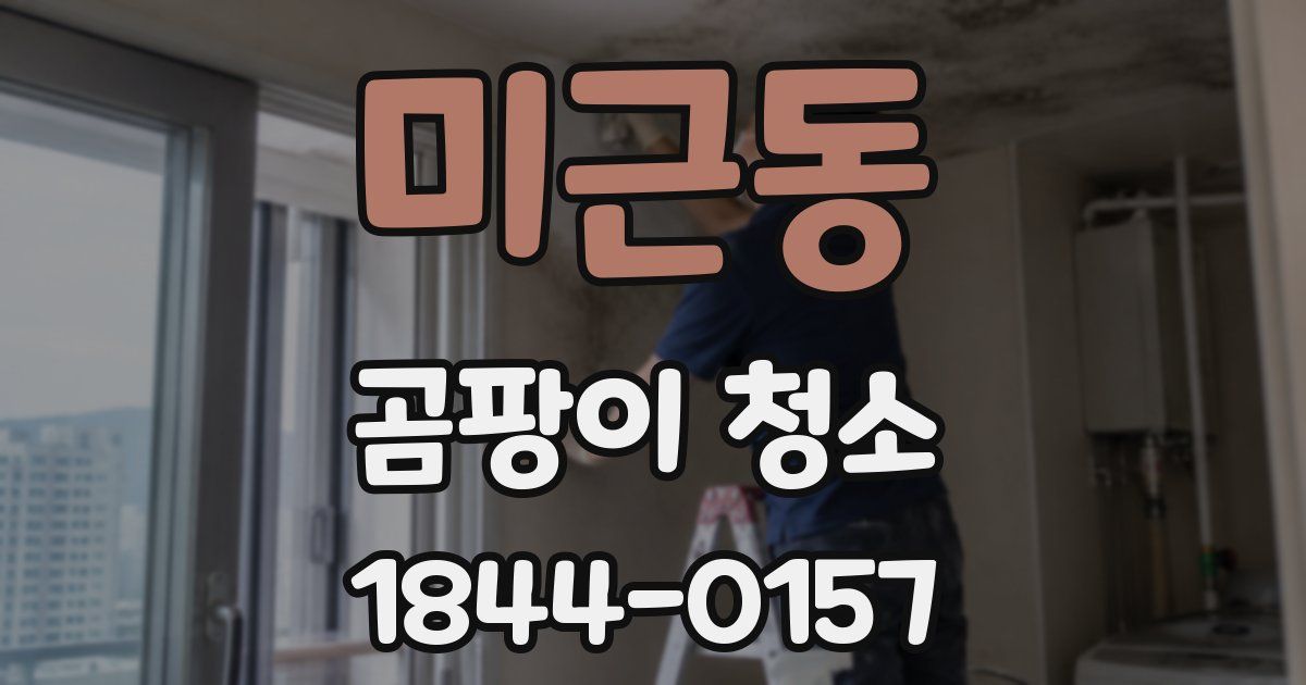 미근동 곰팡이 청소