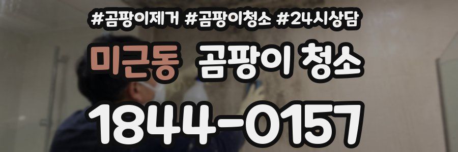 미근동 곰팡이 청소