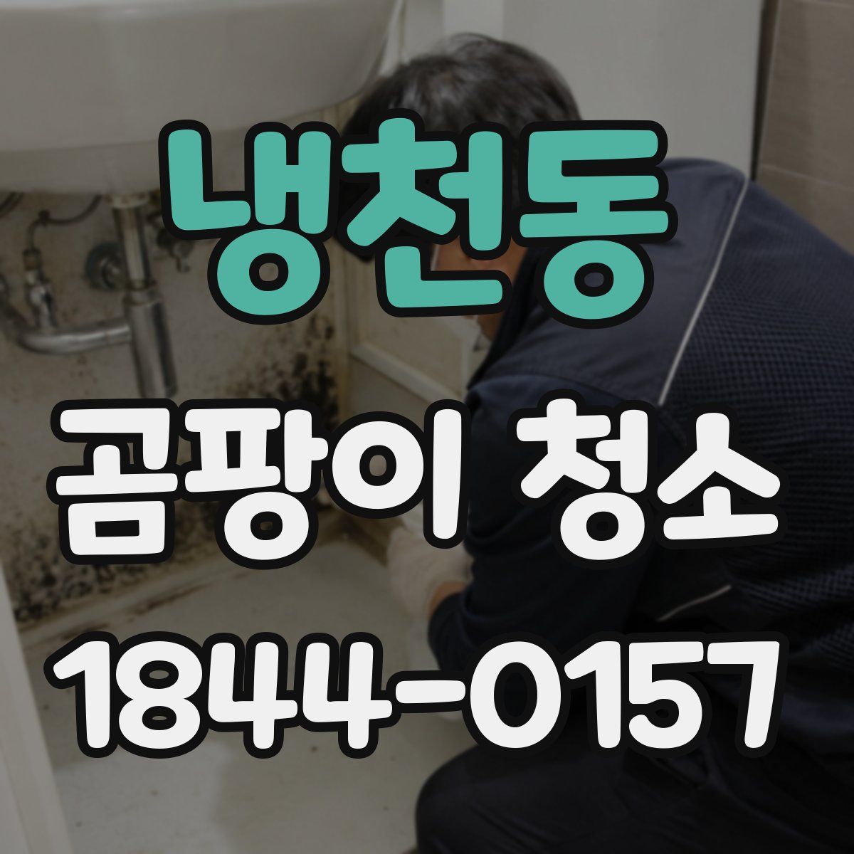 냉천동 곰팡이 청소