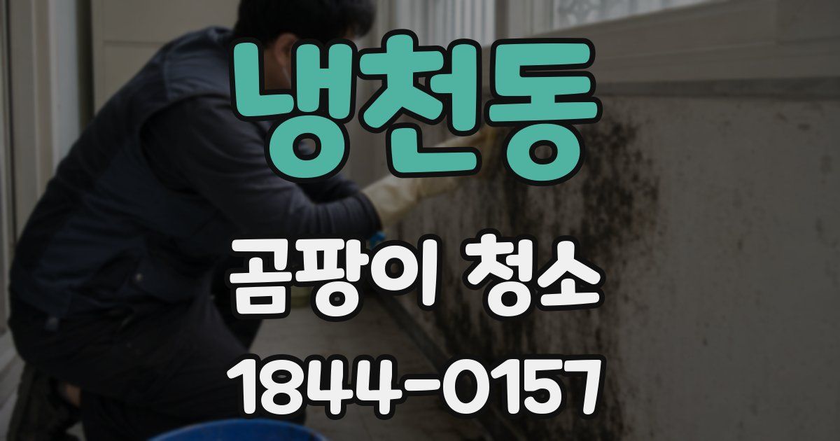 냉천동 곰팡이 청소
