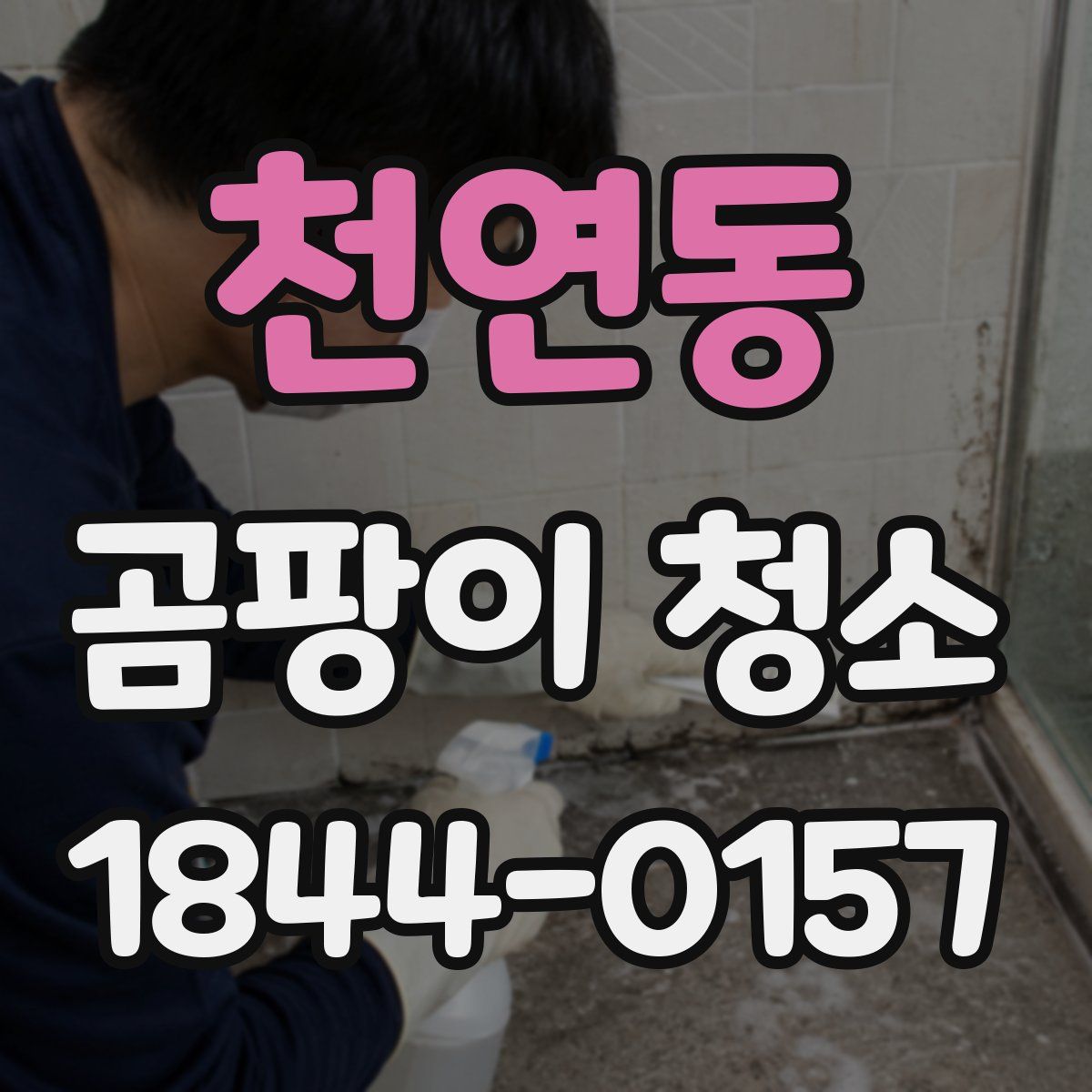 천연동 곰팡이 청소