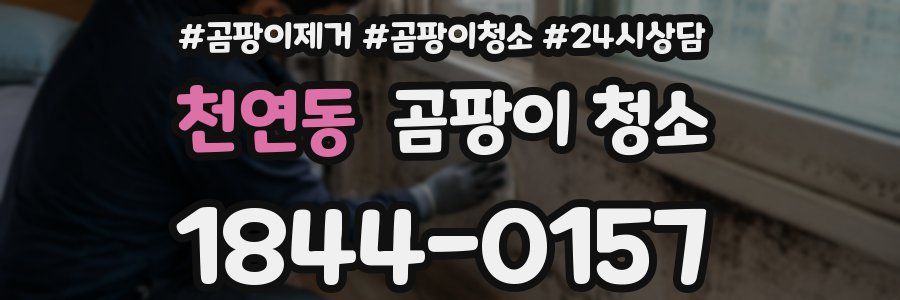천연동 곰팡이 청소