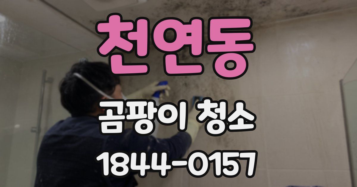 천연동 곰팡이 청소