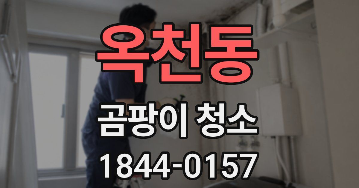 옥천동 곰팡이 청소