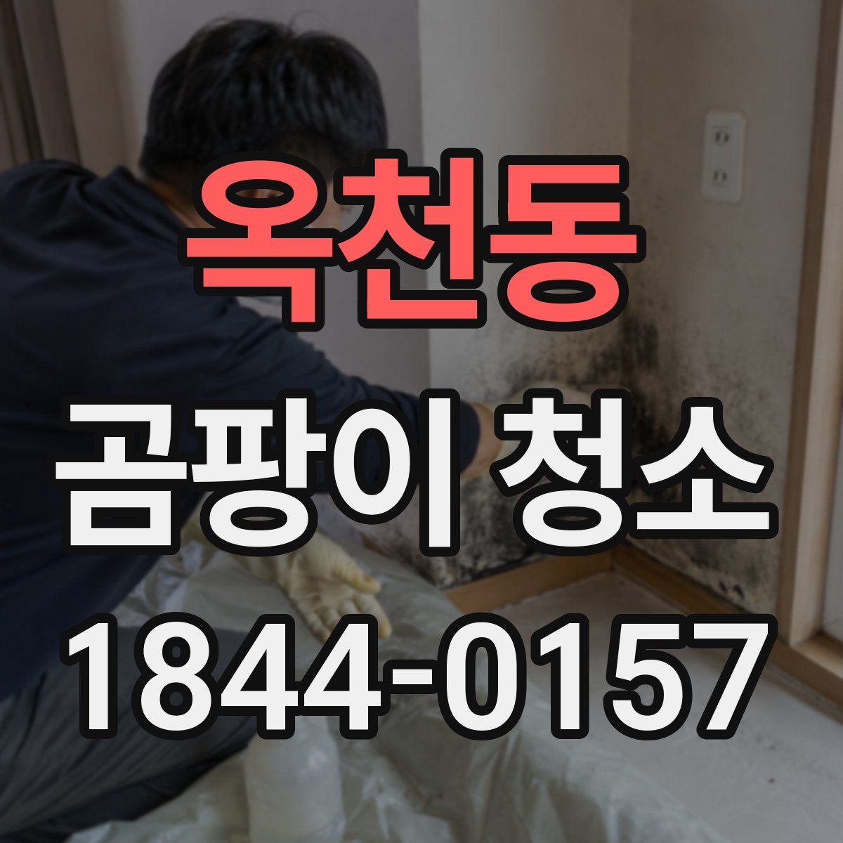 옥천동 곰팡이 청소
