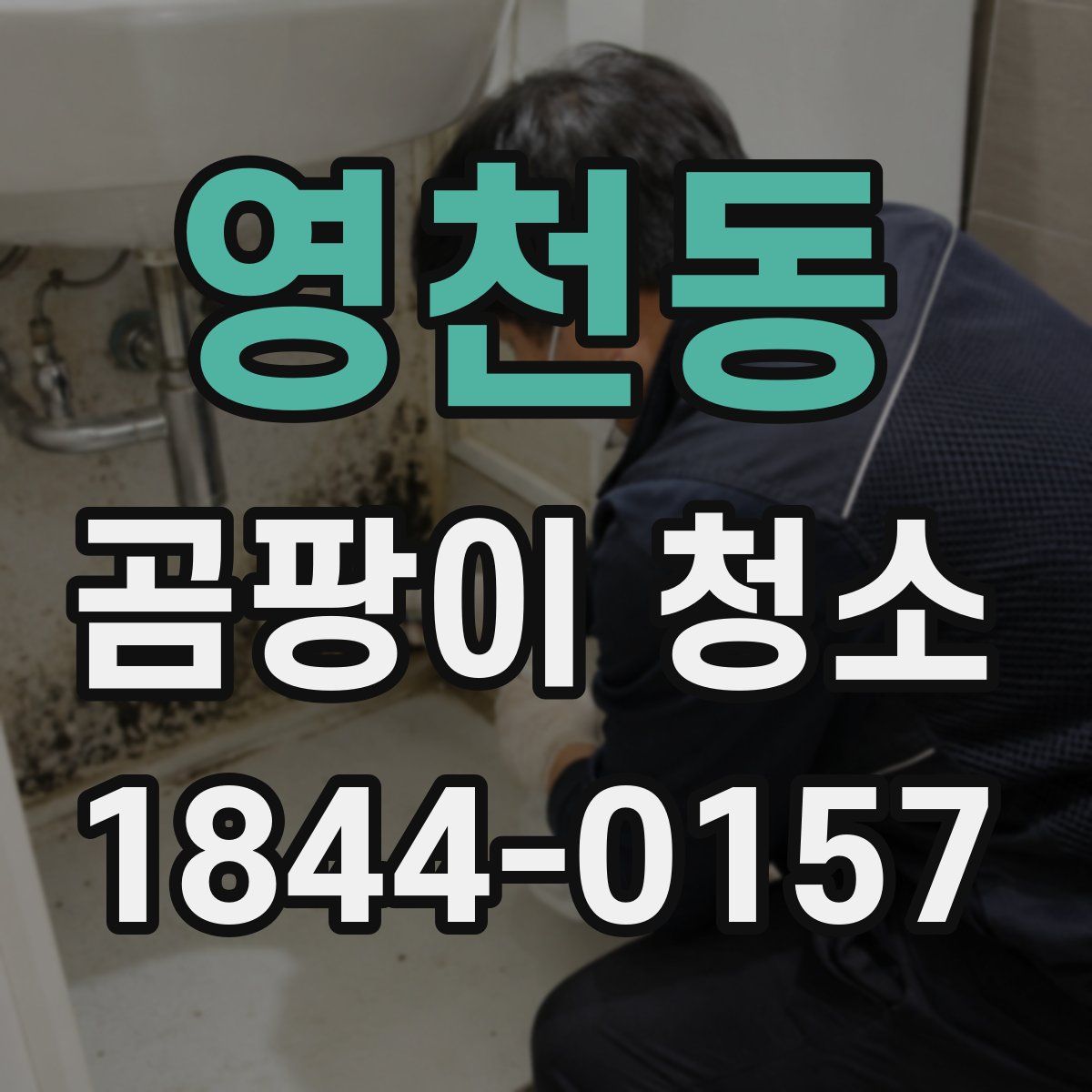영천동 곰팡이 청소