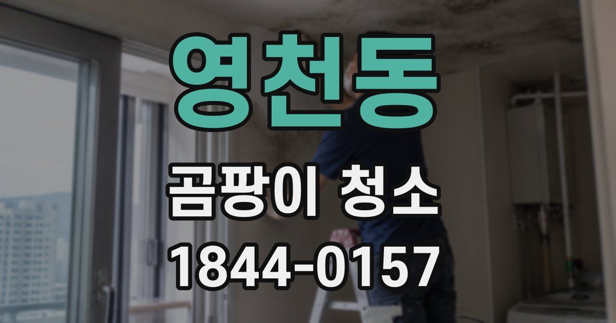 영천동 곰팡이 청소