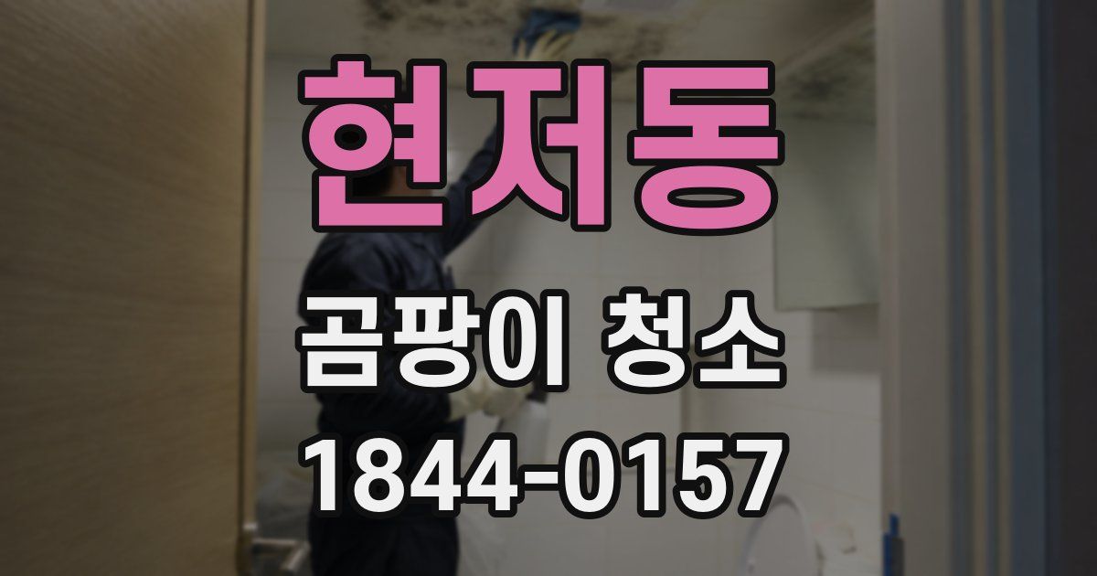 현저동 곰팡이 청소