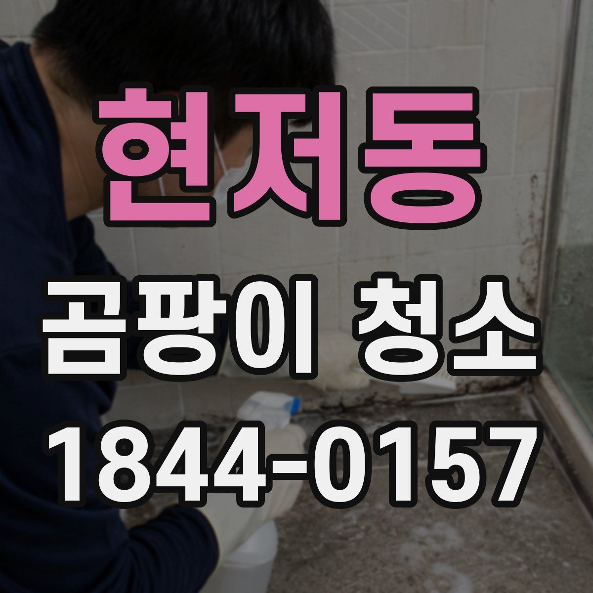 현저동 곰팡이 청소