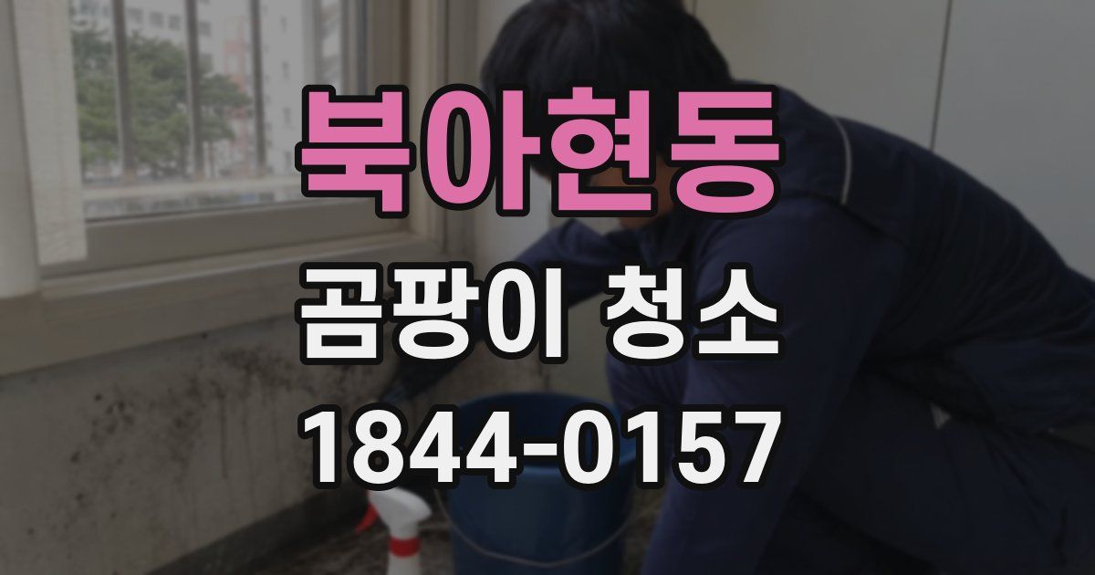 북아현동 곰팡이 청소