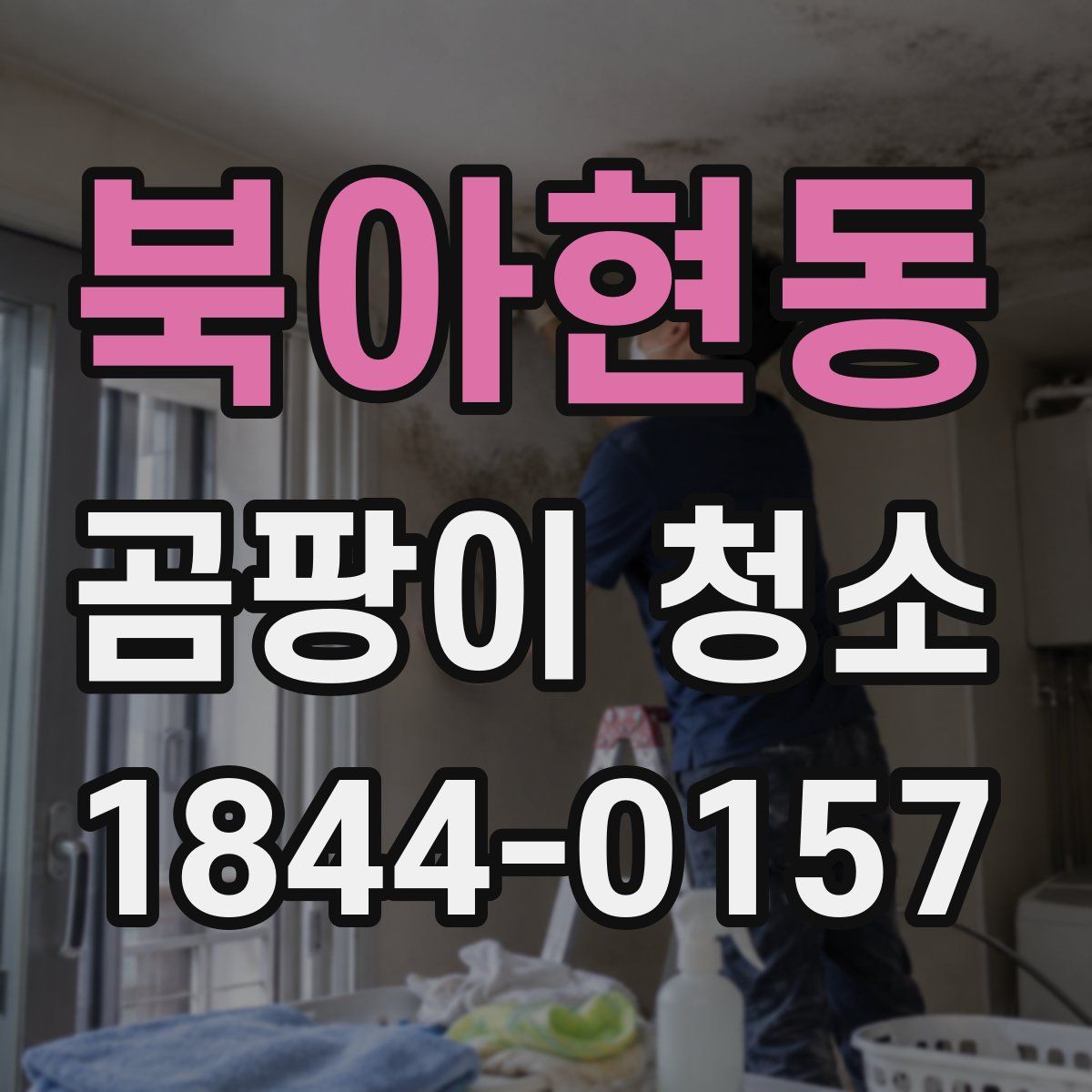 북아현동 곰팡이 청소