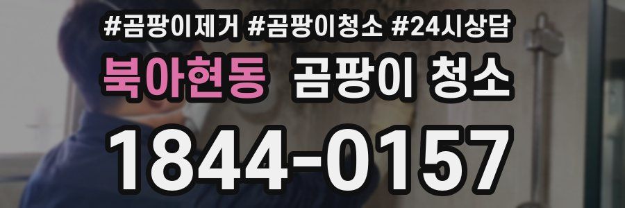 북아현동 곰팡이 청소