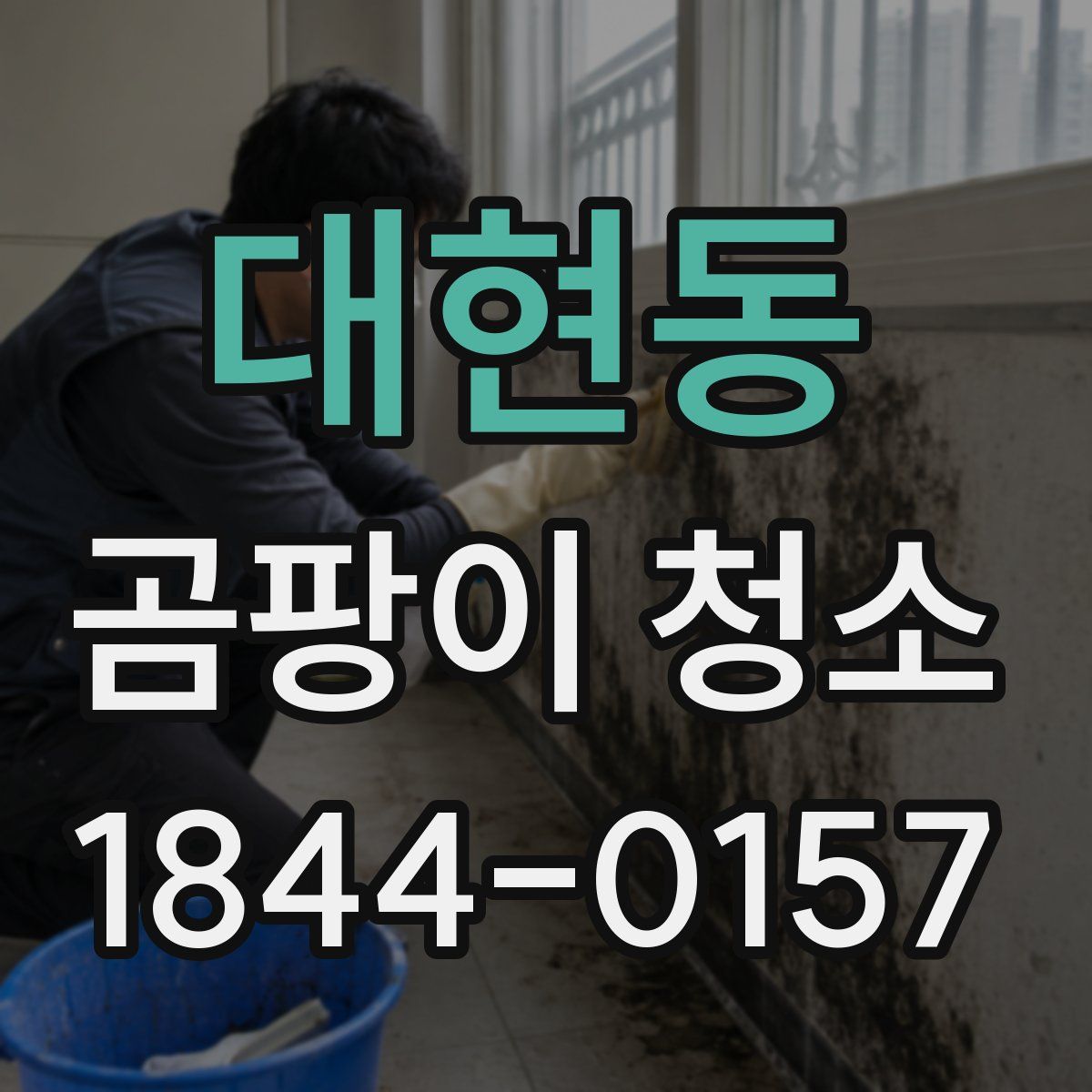 대현동 곰팡이 청소