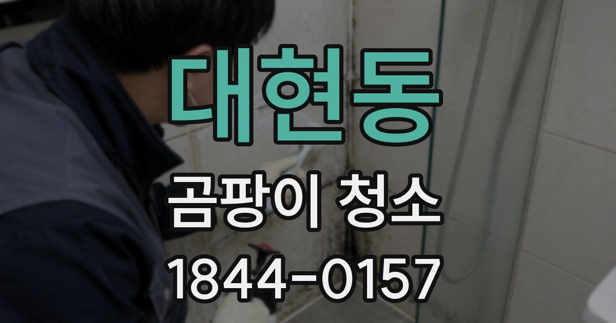 대현동 곰팡이 청소