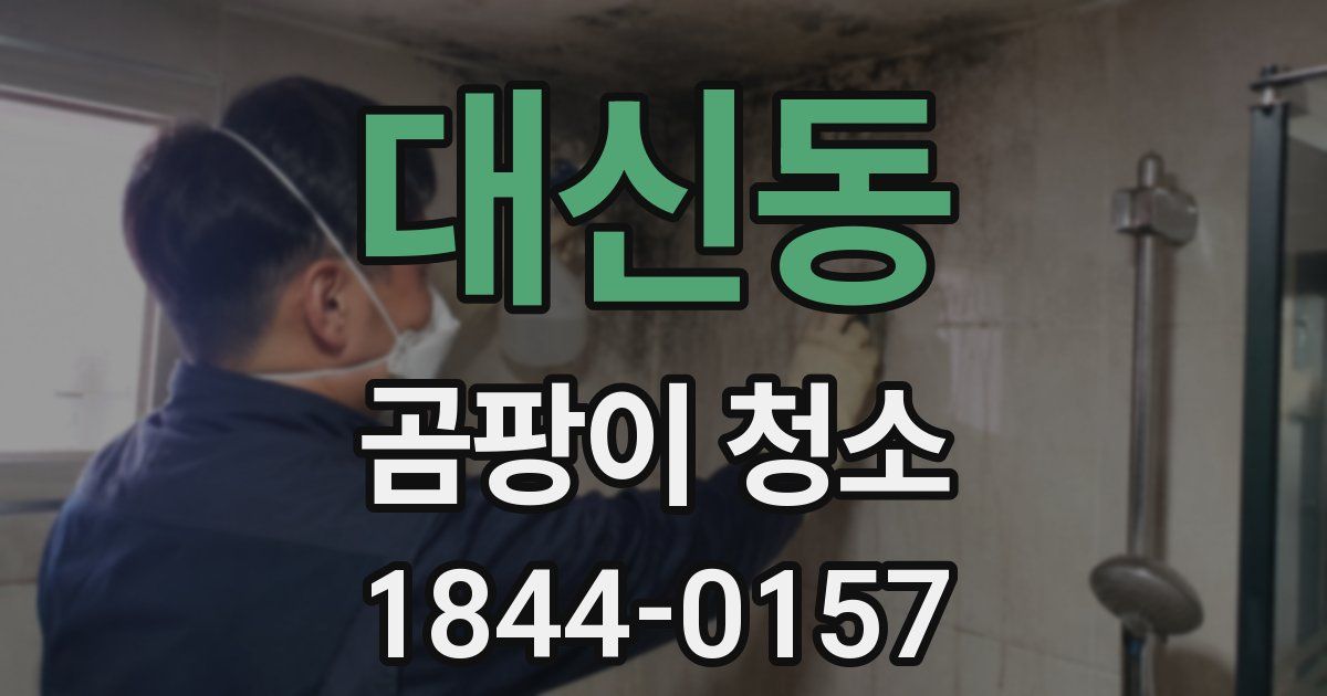 대신동 곰팡이 청소