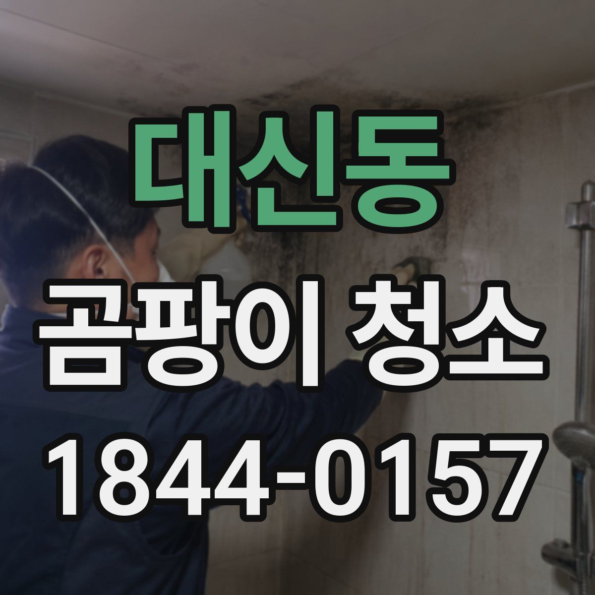 대신동 곰팡이 청소