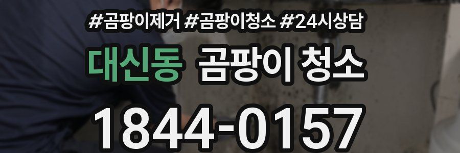 대신동 곰팡이 청소