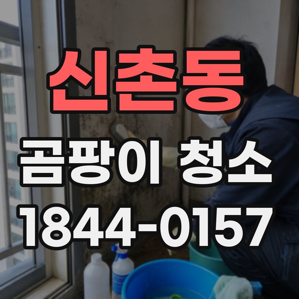 신촌동 곰팡이 청소