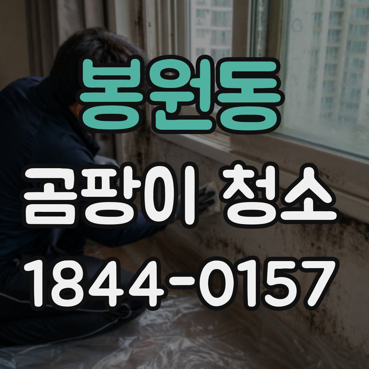 봉원동 곰팡이 청소