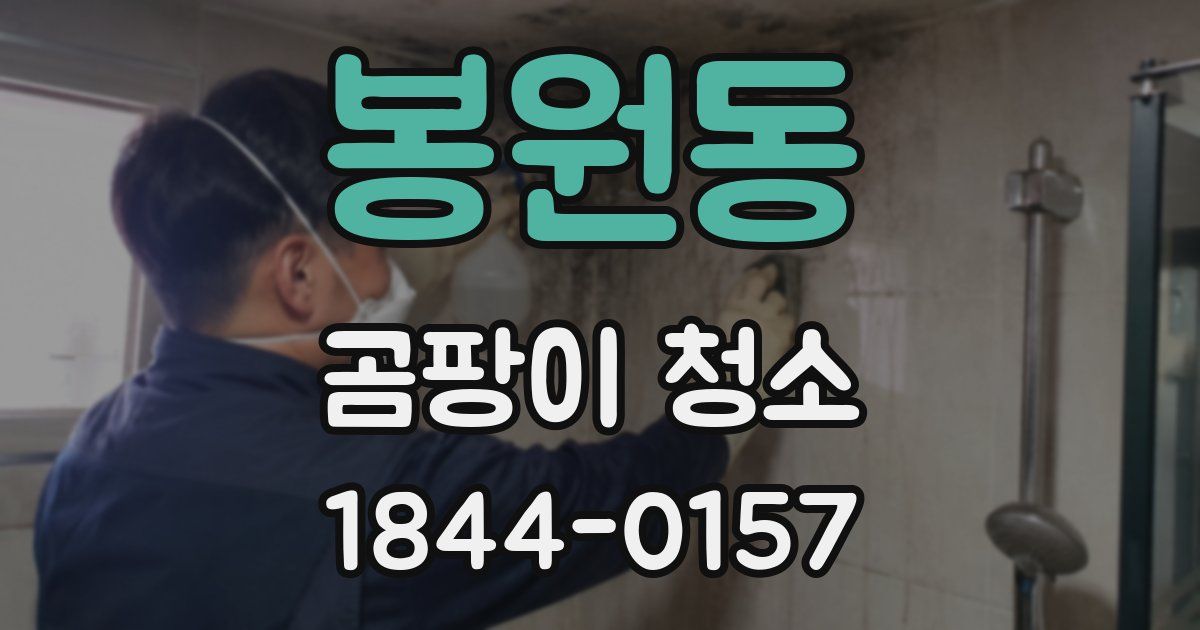 봉원동 곰팡이 청소